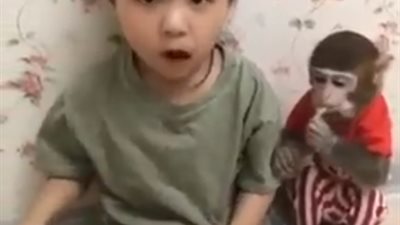 غريزة الأم.. شاهد ماذا فعلت هذه الطفلة مع القرد!