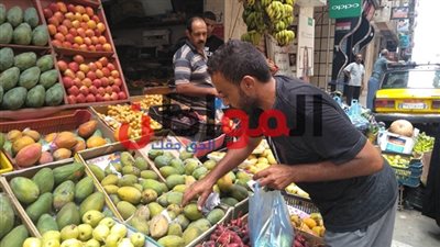 بعد انتهاء حملة خليها تحمض.. أسعار الفاكهة تعاود الصعود