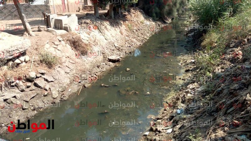 قرية كفر حمودة
