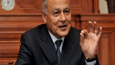 فيديو.. أبو الغيط: لن ينجح أحد في عزل الفلسطينيين
