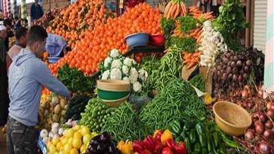 فيديو.. تقرير مفصل عن أسعار الخضراوات والفاكهة اليوم