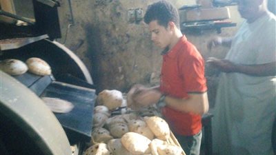 إحالة مفتش التموين في بلاي بالغربية للتحقيق 