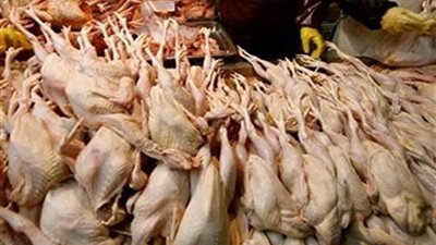 مداهمة مجزر بداخله 2,5 طن دواجن غير صالحة للاستخدام الآدمى