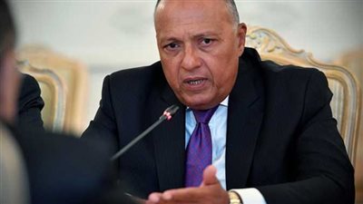 الخارجية: شكرى نقل رسالة شفهية من الرئيس السيسي إلى نظيره الإريتري