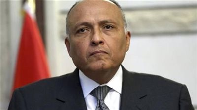 وزير الخارجية يؤكد على عمق العلاقات بين مصر وإريتريا
