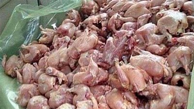 ضبط 3 طن دواجن فاسدة داخل ثلاجة فى القليوبية