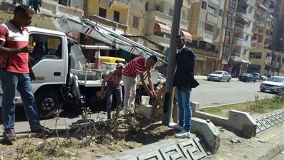 صور.. عمليات الكهرباء تستمر في رفع كفاءة مرفق الكهرباء بالمنتزه ثان