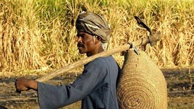 على هامش ذكرى عيد الفلاح .. خبراء يشرحون لـ 