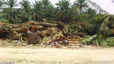 الفرافرة تتسلم 101 خريطة من المساحة العسكرية لتقنين وضع اليد 
