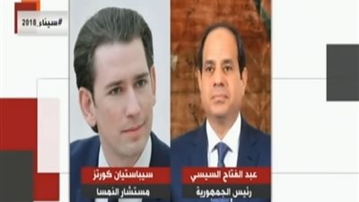 فيديو.. السيسي يؤكد قوة العلاقات بين مصر والنمسا