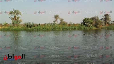 من الجلباب إلى الفيس بوك .. أريافنا ماذا بقى فيها من الزمن الجميل ؟ 