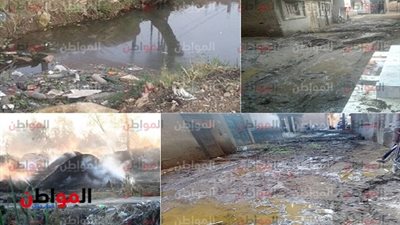 فيديو.. عزبة العرب بـ