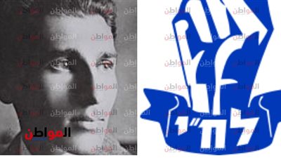 منظمة 