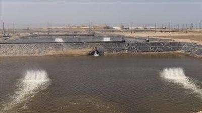 غرق عامل بمزرعة سمكية في البرلس 