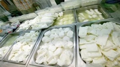 ضبط مصنع لإنتاج الجبنه بدون ترخيص في قليوب 