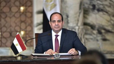 السيسي يوافق على منحة للقابضة للكهرباء بـ مليوني دولار