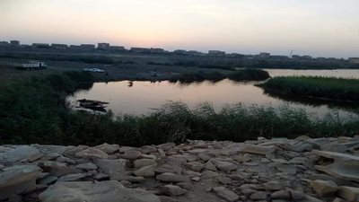 صور.. تطهير بحيرة 