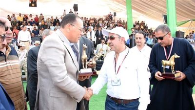 صور.. محافظ الشرقية يُكرم أعضاء لجنة تحكيم مسابقة أدب الخيل بمنحهم شهادات تقدير