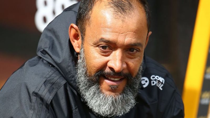 مدرب ولفر هامبتون