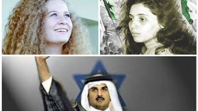الجهاد.. شرف جسدته المرأة المصرية وطبقته بوحيريد ورسخته التميمي وأسقط ملامحه التحالف القطري الإسرائيلي
