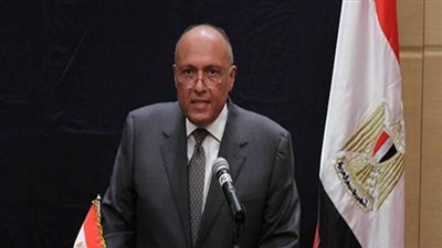 شكري: مصر تسير بخطى قوية في إطار سياسات تصدير الطاقة وتنويع مصادرها