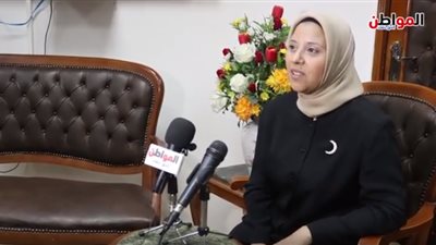 فيديو.. أستاذ الهندسة النووية: آمان الطاقة يستلزم مسؤوليات واضحة ومحددة