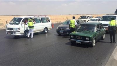 فيديو.. 