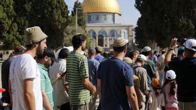 شاهد.. بنو صهيون يرتلون نشيدهم الوطني في قلب الأقصى