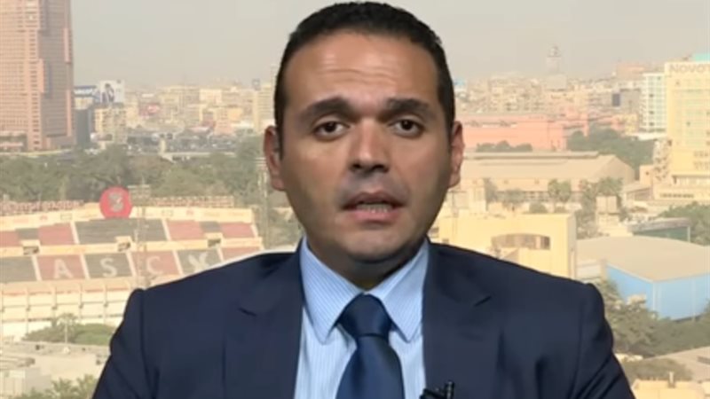 مدحت نافع, الخبير