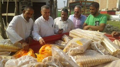 ضبط كميات من المثلجات من أمام إحدى المدارس بمدينة سمسطا
