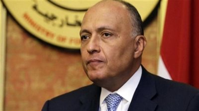 شكري: الجمعية العامة لها دور في تواصل الزعماء لمناقشة القضايا الدولية 