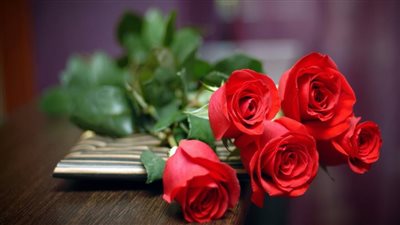 صباحك ورد.. تعرف على أسعار الزهور في الأسواق والمحلات