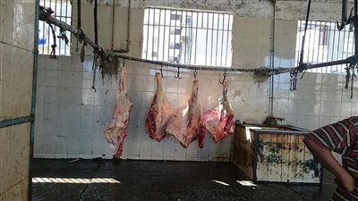 مدير عام مجازر كفر الشيخ: إعدام لحوم مصابة بالسل بمجزر دسوق