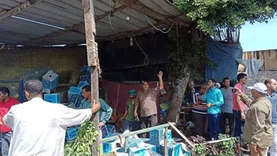 صور.. حملة مكبرة لإزالة الأكشاك والإشغالات في إيتاي البارود بالبحيرة