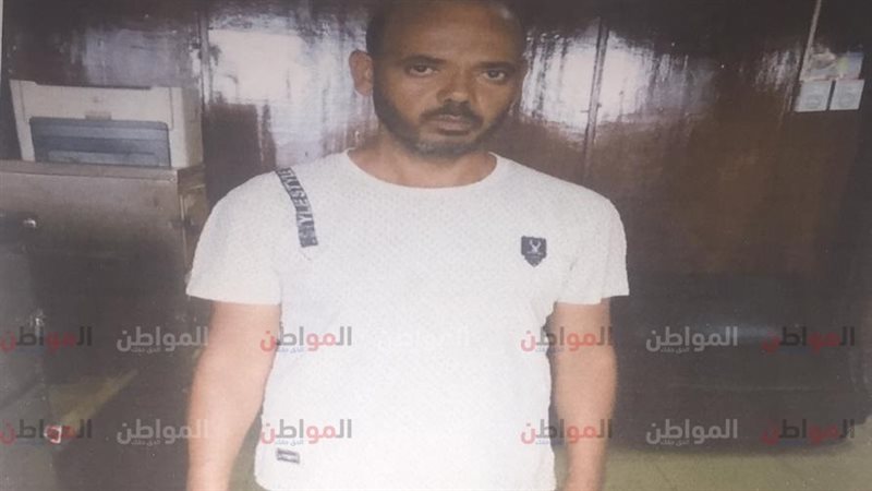 المواطن
