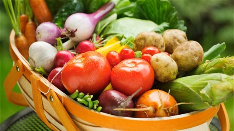 أسعار الخضروات اليوم