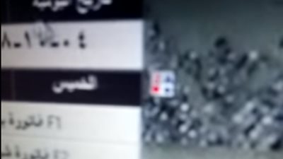 صدقك أو لا تصدق نملة تحاول الخروج من شاشة جهاز كمبيوتر 