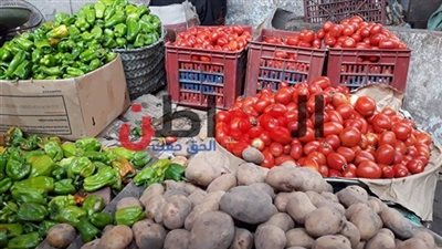 اسعار الخضار والفاكهة في أسواق كفرالشيخ.. والكوسه بـ 8 جنيهات