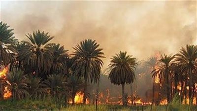 حريق هائل بعزبة عين أم الصغير بعزب القصر فى الداخلة
