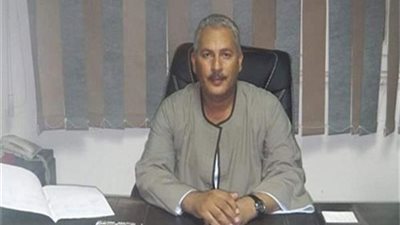 نقيب الفلاحين لبوابة المواطن: العروة المحيرة سبب ارتفاع الطماطم إلى 20 جنيها