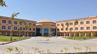 هاني عبدالرحيم: أعمال إنشاء مستشفى شفاء الأورمان لا يقل عن بناء السد العالي 