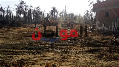 صور.. البدء فى إزالة آثار حريق الراشدة وتنفيذ الحزام الآمن بالوادي الجديد