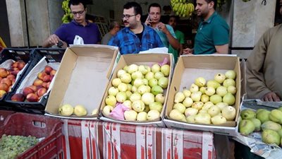 أسعار الخضروات والفاكهة بمحافظة الغربية.. تعرف عليها