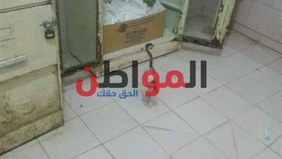 مستشفى طهطا العام مرتعا للقطط الضالة والقمامة.. والأهالي: أغيثونا