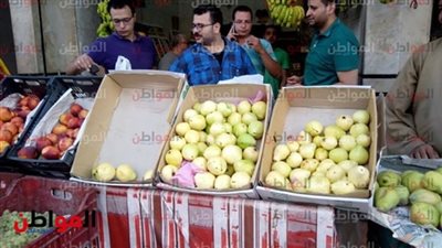اسعار الخضار والفاكهة بمحافظة الغربية.. وملوخية الغلابة بـ 5 جنيه