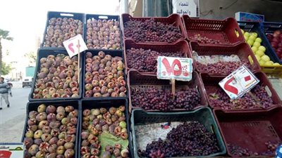 أسعار الخضار والفاكهة بمحافظة الغربية اليوم الأربعاء 10/ 10 / 2018