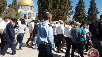 مجددًا.. مستوطنون إسرائيليون يقتحمون الأقصى بحماية قوات الاحتلال 
