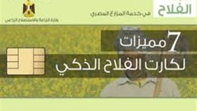 الوزراء تعلن بدء تشغيل 