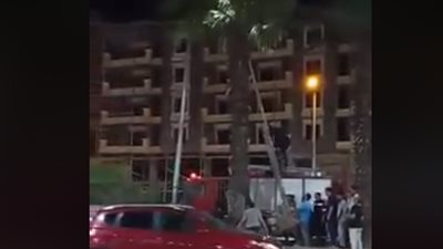 فيديو| انقاذ قطة بطريقة مضحكة