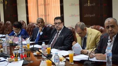  إصابة أحمد سليم أمين عام المجلس الأعلى لتنظيم الإعلام